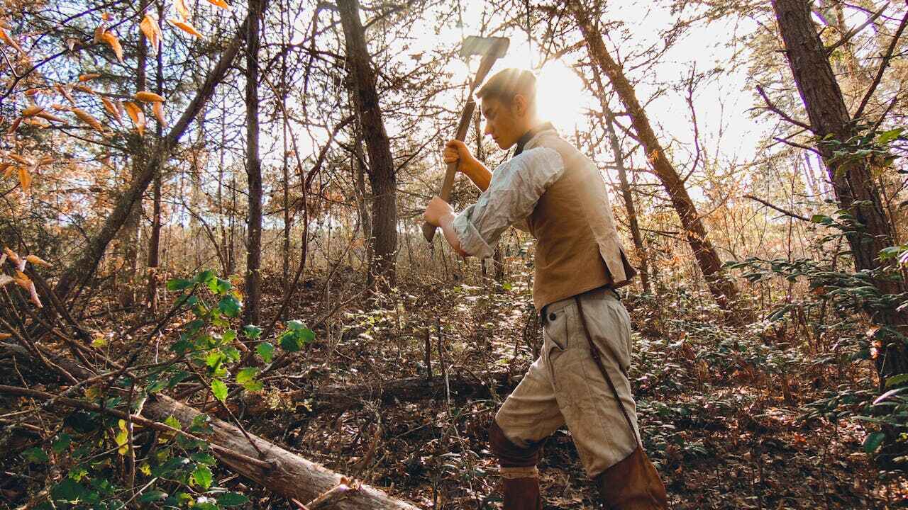 Emergency Storm Tree Removal